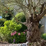 L'ecole Des Garcons