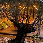 L'ecole Des Garcons Bed & Breakfast 4*