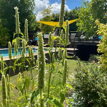 L'ecole Des Garcons Maigne