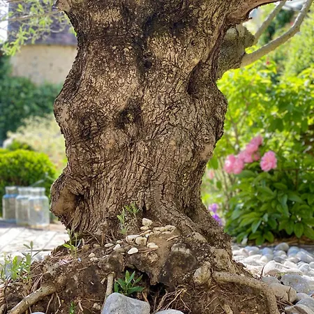 L'ecole Des Garcons B&B