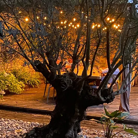 L'ecole Des Garcons 住宿加早餐酒店 4*