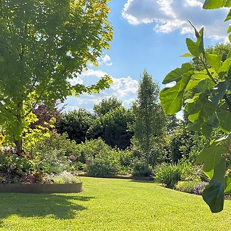 L'ecole Des Garcons 4* Maigne