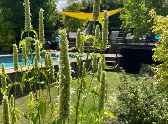 L'ecole Des Garcons Maigne